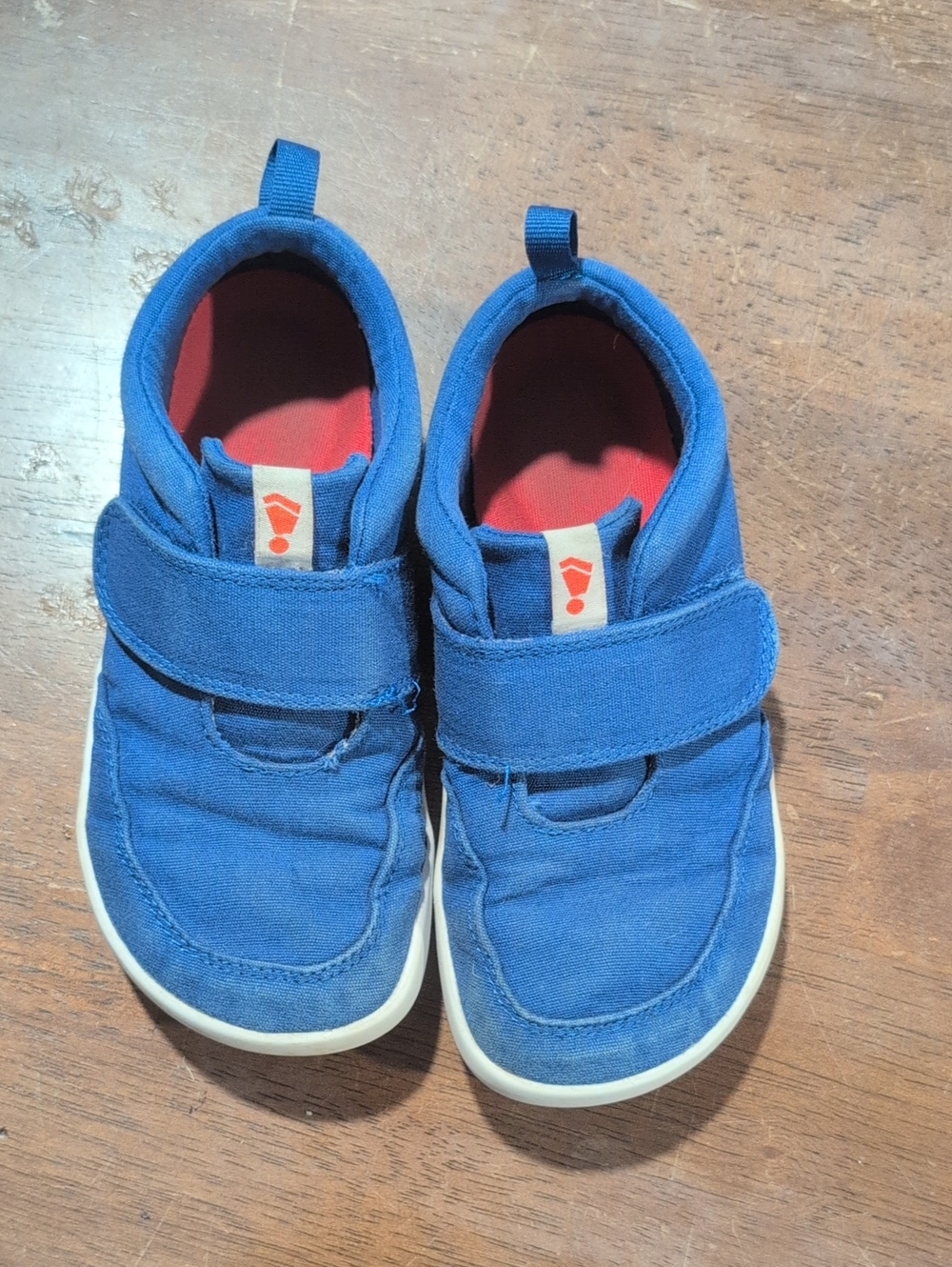 Kids Blue Hook-and-Loop Canvas Sneakers with Red Lining